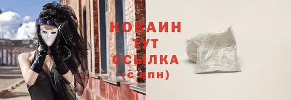 стаф Коряжма