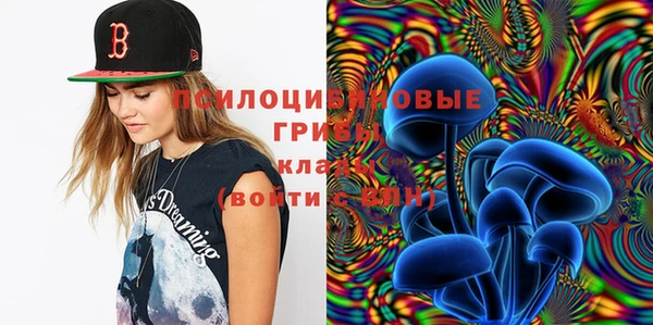 соль ск Липки