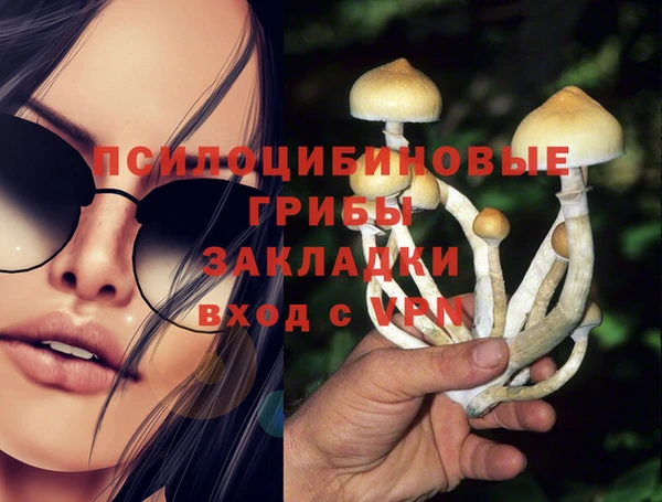 крисы Лабытнанги