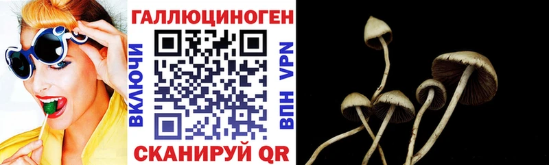 mega как войти  закладки  Куса  Галлюциногенные грибы прущие грибы 